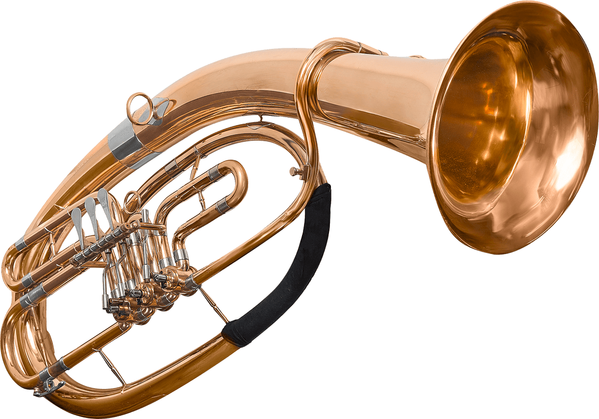 Bariton-Horn lernen Musikunterricht Musikschule Maltes